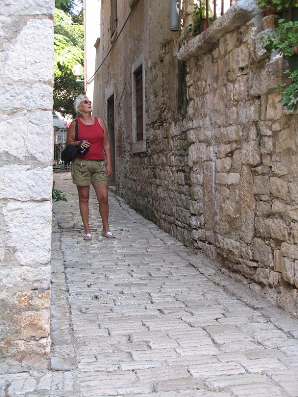 2012-09-11 14-16-10 Ludo.jpg